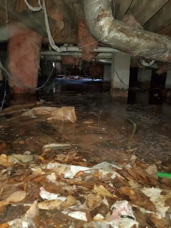 Crawl space flood assessment for Leak Detection & Repair in San Juan Capistrano